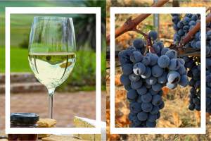 Untitled design (16)